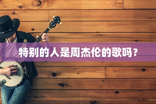 特别的人是周杰伦的歌吗？