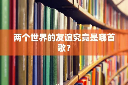 两个世界的友谊究竟是哪首歌？