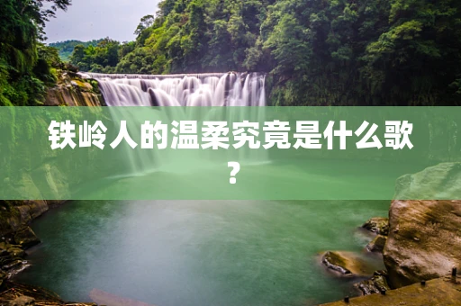 铁岭人的温柔究竟是什么歌？