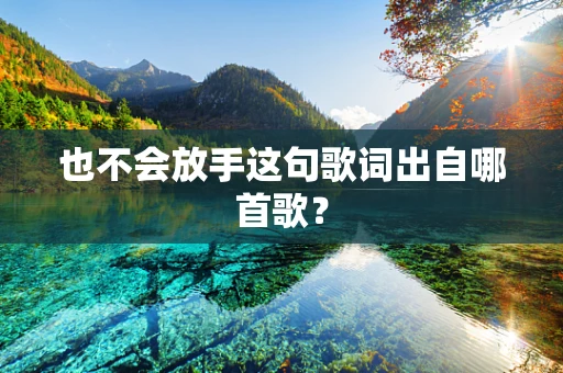 也不会放手这句歌词出自哪首歌？