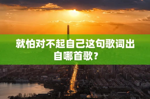 就怕对不起自己这句歌词出自哪首歌？