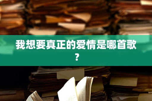我想要真正的爱情是哪首歌？