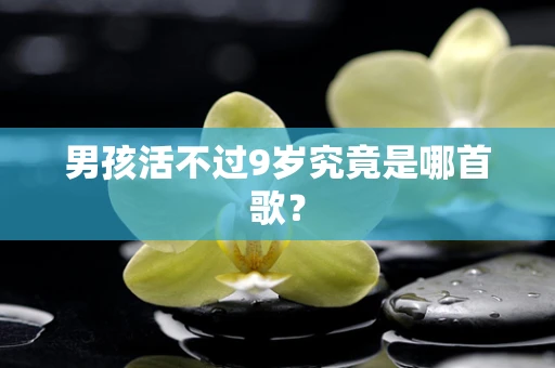 男孩活不过9岁究竟是哪首歌？