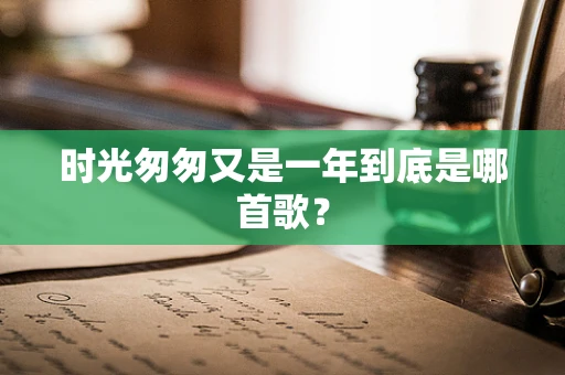 时光匆匆又是一年到底是哪首歌？