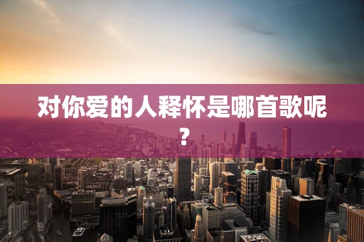 对你爱的人释怀是哪首歌呢？