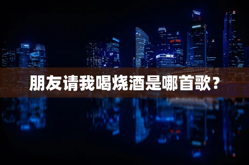 朋友请我喝烧酒是哪首歌？
