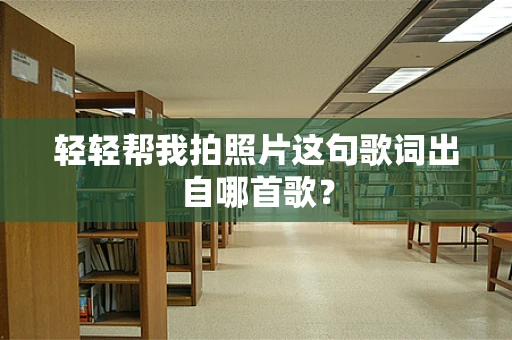 轻轻帮我拍照片这句歌词出自哪首歌？