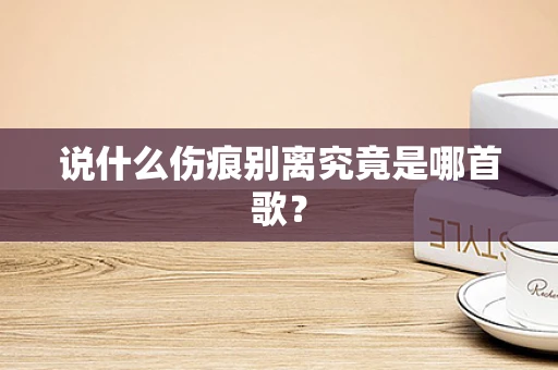 说什么伤痕别离究竟是哪首歌？
