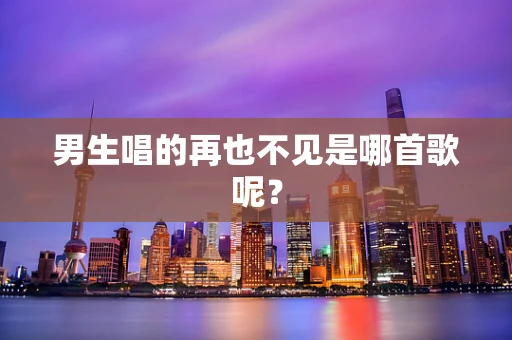 男生唱的再也不见是哪首歌呢？