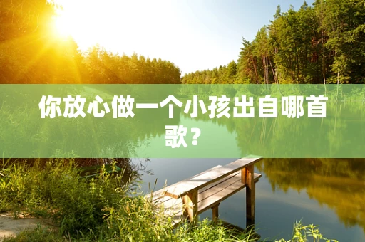 你放心做一个小孩出自哪首歌？