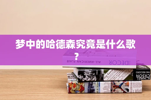 梦中的哈德森究竟是什么歌？