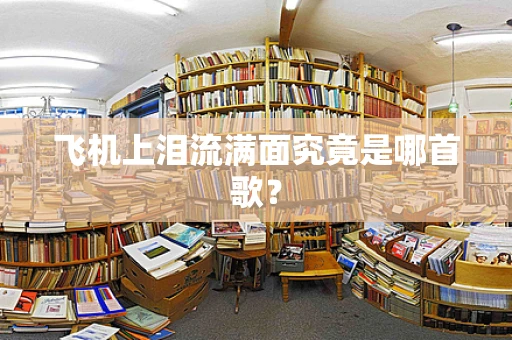 飞机上泪流满面究竟是哪首歌？