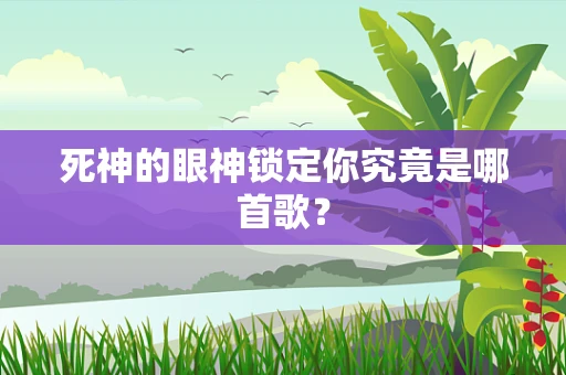 死神的眼神锁定你究竟是哪首歌？