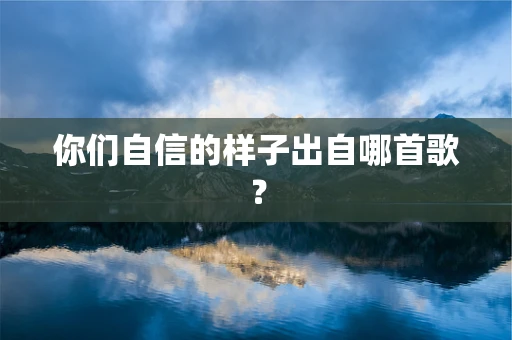 你们自信的样子出自哪首歌？