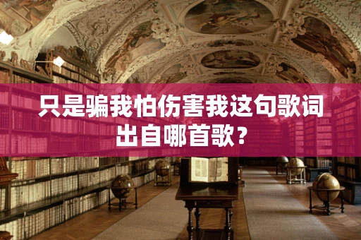 只是骗我怕伤害我这句歌词出自哪首歌？
