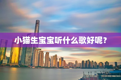 小猫生宝宝听什么歌好呢？