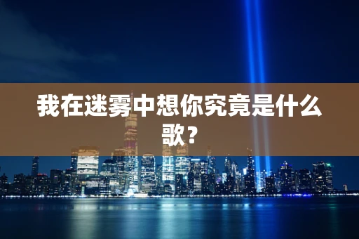 我在迷雾中想你究竟是什么歌？