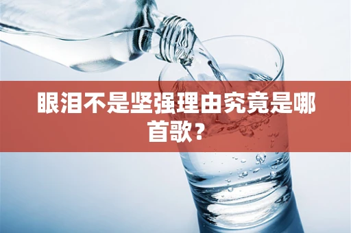 眼泪不是坚强理由究竟是哪首歌？