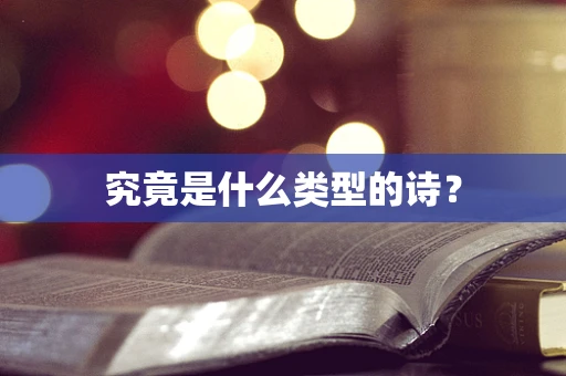 究竟是什么类型的诗？