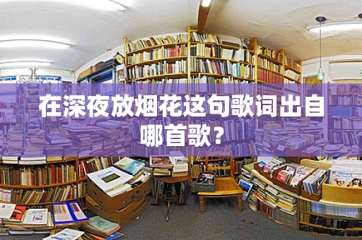 在深夜放烟花这句歌词出自哪首歌？