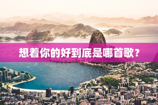 想着你的好到底是哪首歌？
