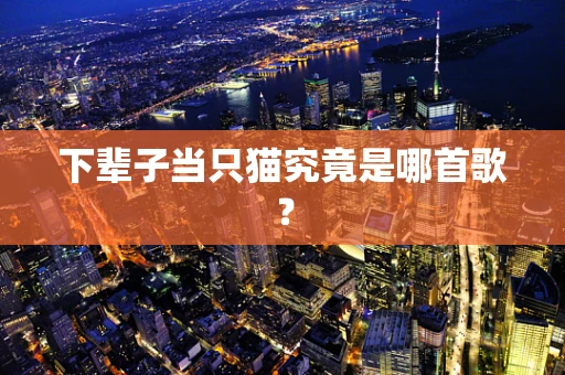 下辈子当只猫究竟是哪首歌？