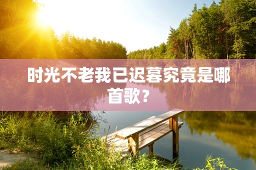 时光不老我已迟暮究竟是哪首歌？