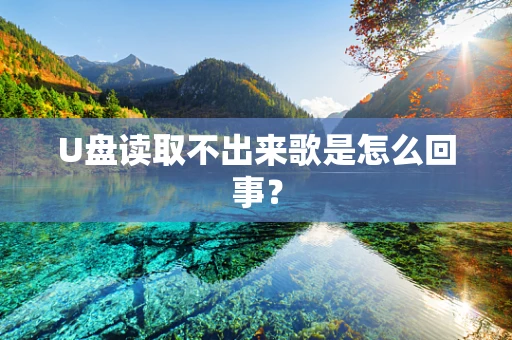 U盘读取不出来歌是怎么回事？
