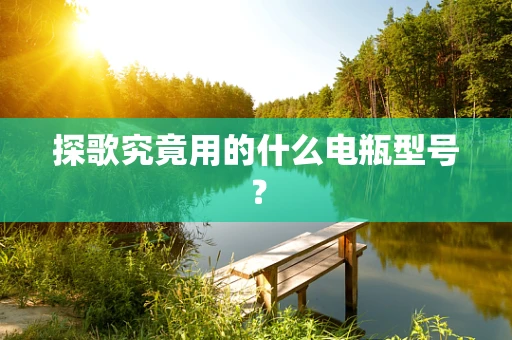 探歌究竟用的什么电瓶型号？