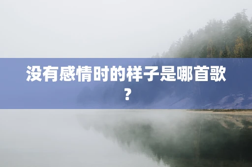 没有感情时的样子是哪首歌？