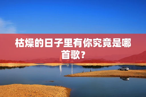 枯燥的日子里有你究竟是哪首歌？