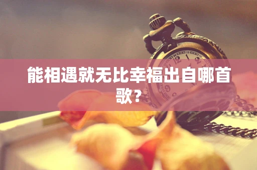 能相遇就无比幸福出自哪首歌？