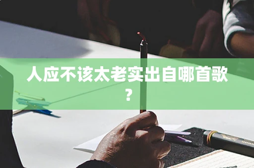 人应不该太老实出自哪首歌？