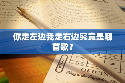 你走左边我走右边究竟是哪首歌？