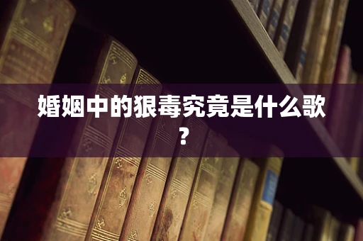 婚姻中的狠毒究竟是什么歌？