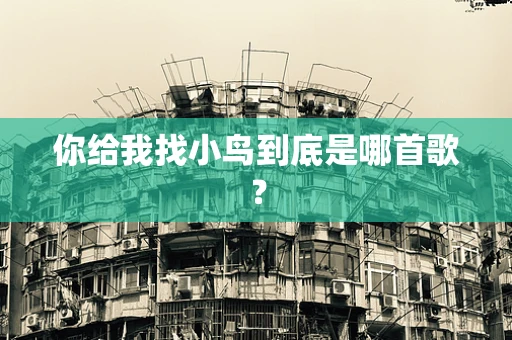 你给我找小鸟到底是哪首歌？
