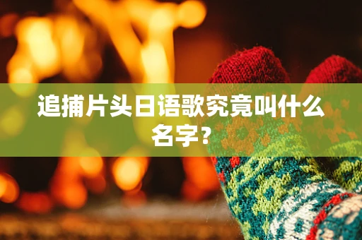 追捕片头日语歌究竟叫什么名字？