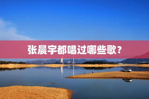 张晨宇都唱过哪些歌？