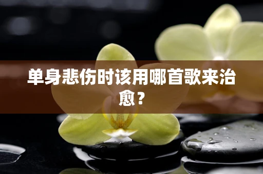 单身悲伤时该用哪首歌来治愈？