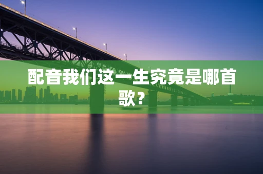 配音我们这一生究竟是哪首歌？