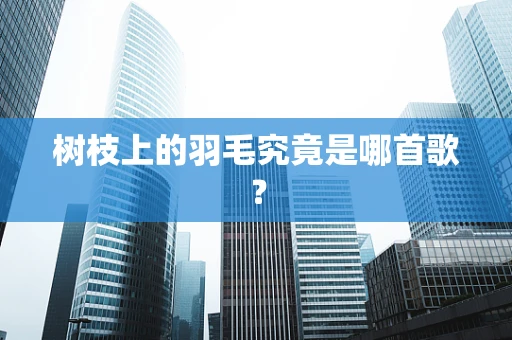 树枝上的羽毛究竟是哪首歌？