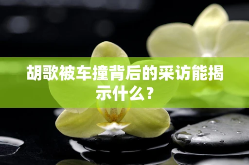 胡歌被车撞背后的采访能揭示什么？