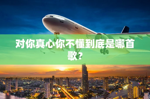 对你真心你不懂到底是哪首歌？
