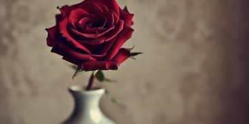 哪首歌能诠释41岁的气质女人？