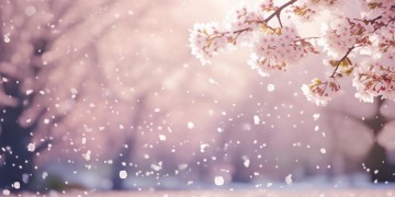 落樱如雪舞翩翩究竟出自哪首歌？