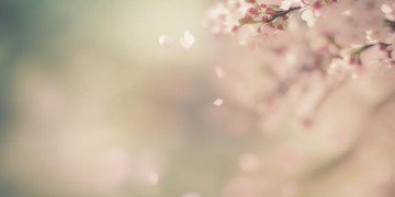 是我爱的太真太深出自哪首歌？