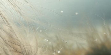 甩甩头这句歌词出自哪首歌？