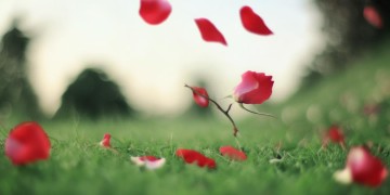 没有什么会永垂不朽出自哪首歌？