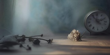 到了40岁的年纪出自哪首歌？