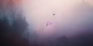 网易云最伤人的歌究竟是哪首？